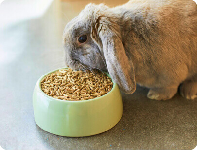 <b>Çok Satan</b> Boyama Ürünleri