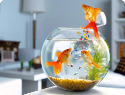 Toka ve Taç Malzemeleri