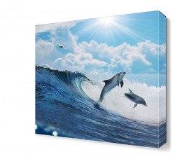 Dalgalar ve  Yunuslar Tablosu