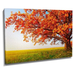 Turuncu Ağaç2 Tablosu