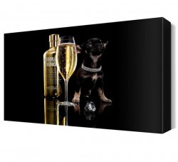 Absolut Vodka Köpek Canvas Tablo (1)