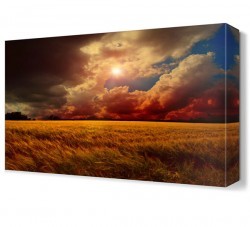 Buğday Tarlası Manzara Canvas Tablo (1)