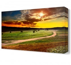 Tarlada Yol Manzarası Canvas Tablo (1)