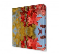 Suya Dökülen Yapraklar Canvas Tablo