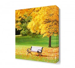 Bank ve Yapraklar Canvas Tablo