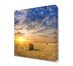 Tarla ve Güneş Manzarası Canvas Tablo (1)