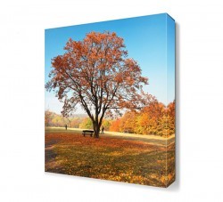 Sonbahar Manzarası Canvas Tablo (1)