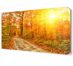 Sonbahar Yapraklı Canvas Tablo