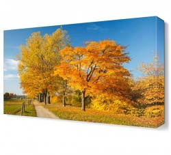 Sarı Ağaç Manzarası Canvas Tablo (1)