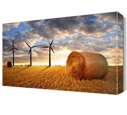 Rüzgar Gülleri Canvas Tablo (1)