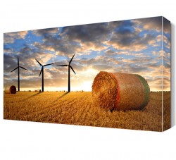 Rüzgar Gülleri Canvas Tablo