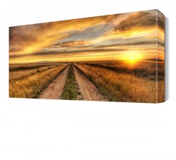 Tarla Yolu Manzarası Canvas Tablo