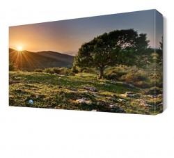 Dağ Manzarası2 Canvas Tablo