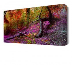 Orman Manzarası Canvas Tablo (1)