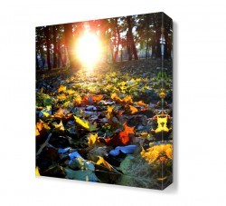 Renkli Yapraklar Canvas Tablo (1)