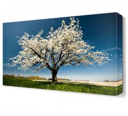 Beyaz Yapraklı Ağaç Canvas Tablo