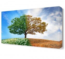 İlkbahar ve Sonbahar Ağacı Canvas Tablo (1)