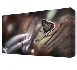 Benekli Kelebek Canvas Tablo (1)