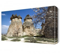 Kapadokya Peri Bacaları Canvas Tablo (1)