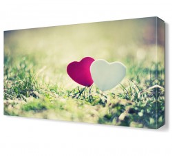 Pembe ve Beyaz Kalp Canvas Tablo