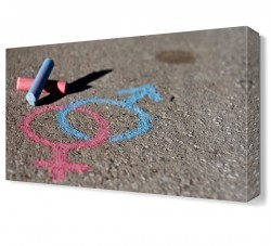 Cinsiyet Ayrım Canvas Tablo (1)