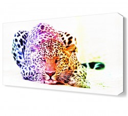Renkli Aslan Canvas Tablo