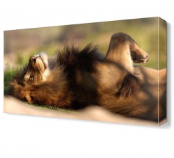 Yeleli Aslan Canvas Tablo