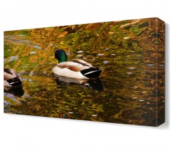 Göldeki Ördek Canvas Tablo