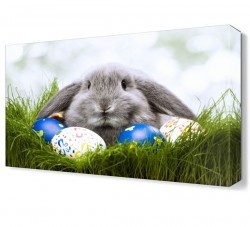 Sevimli Tavşan Canvas Tablo (1)