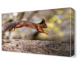 Atlayan Hayvan Canvas Tablo