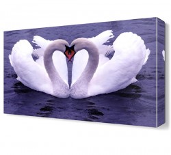 Kazların Aşkı Canvas Tablo