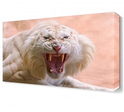 Beyaz Kaplan Canvas Tablo