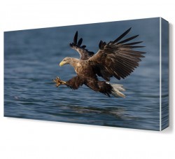 Şahin Canvas Tablo (1)