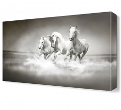 Beyaz Atlar Canvas Tablo