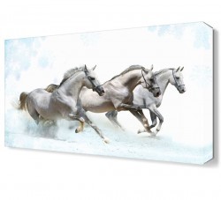 Beyaz Atlar2 Canvas Tablo (1)