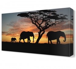 Fil Ailesi Canvas Tablo