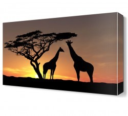 Zürafa Ailesi Canvas Tablo (1)