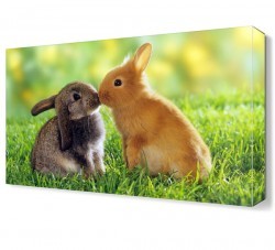 Tavşanların Aşkı Canvas Tablo (1)