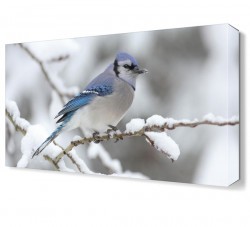 Kuş Canvas Tablo (1)