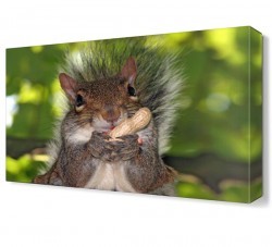 Sincap Canvas Tablo (1)