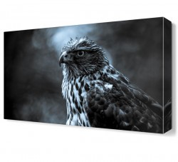 Şahin2 Canvas Tablo (1)