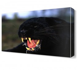 Ürkütücü Canvas Tablo