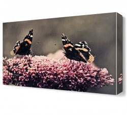 Kelebekler Canvas Tablo