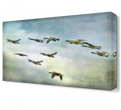 Göç Eden Ördekler2 Canvas Tablo