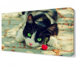 Kedi ve Kiraz Canvas Tablo
