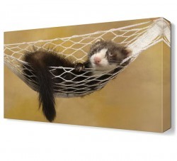 Sevimli Hayvan4 Canvas Tablo (1)