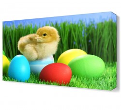 Civciv ve Renkli Yumurtalar Canvas Tablo