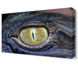 Timsah Gözü Canvas Tablo
