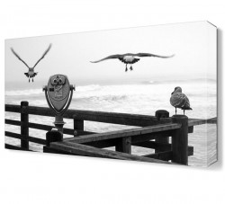 Kuşlar2 Canvas Tablo