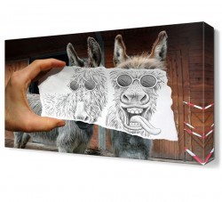 Komik Eşek Canvas Tablo (1)